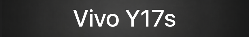 Vivo Y17s